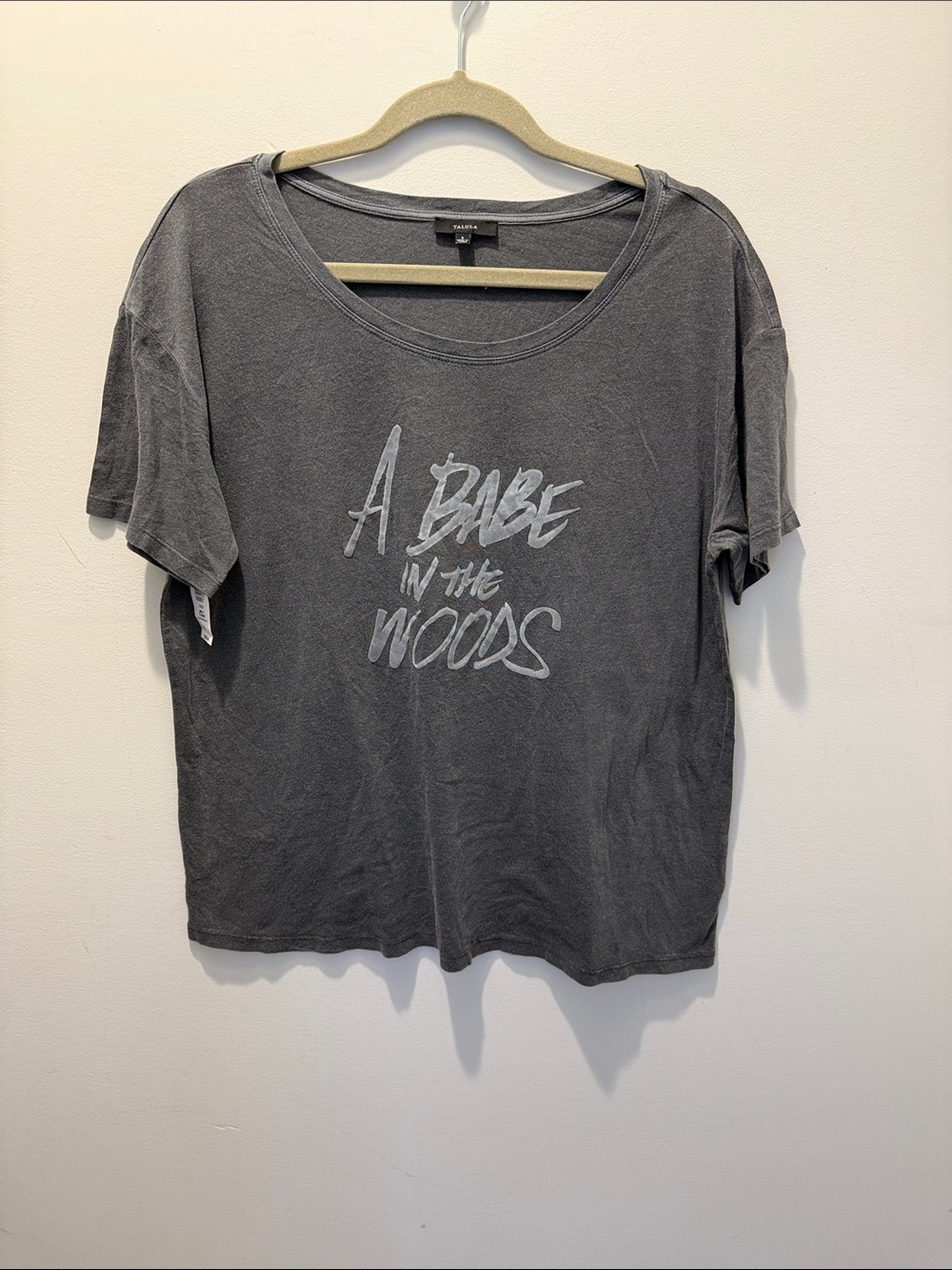 Aritzia Talula A Babe in the Woods t-shirt NWT